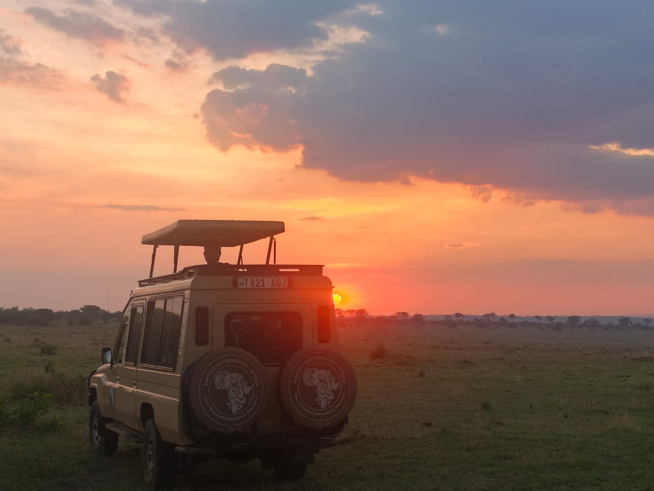 Experience Nature Up Close