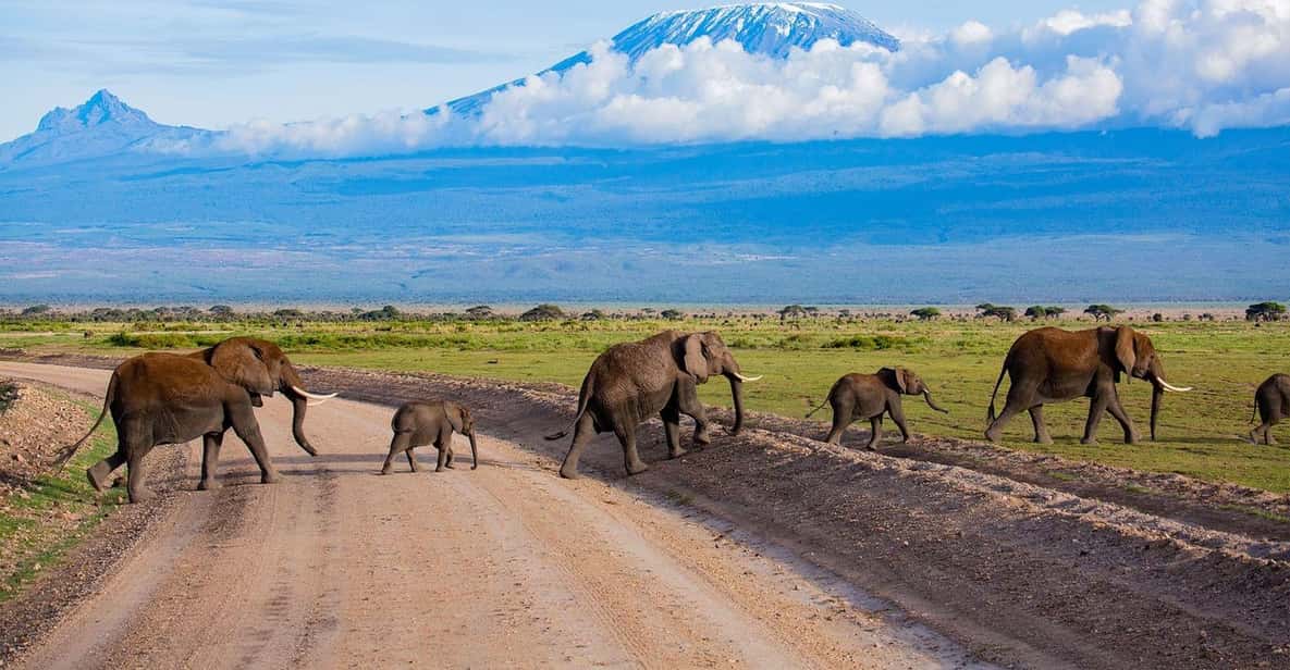 4 -Day Tsavo East & Amboseli Pure Safari