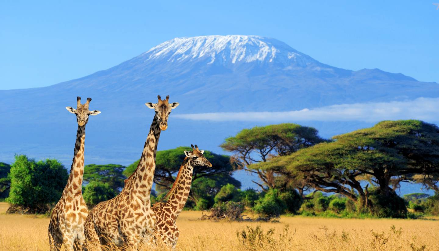 4 Days Kenya Kenya Wildlife Experience