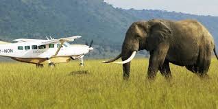 5 Days Masai Mara Flying Package
