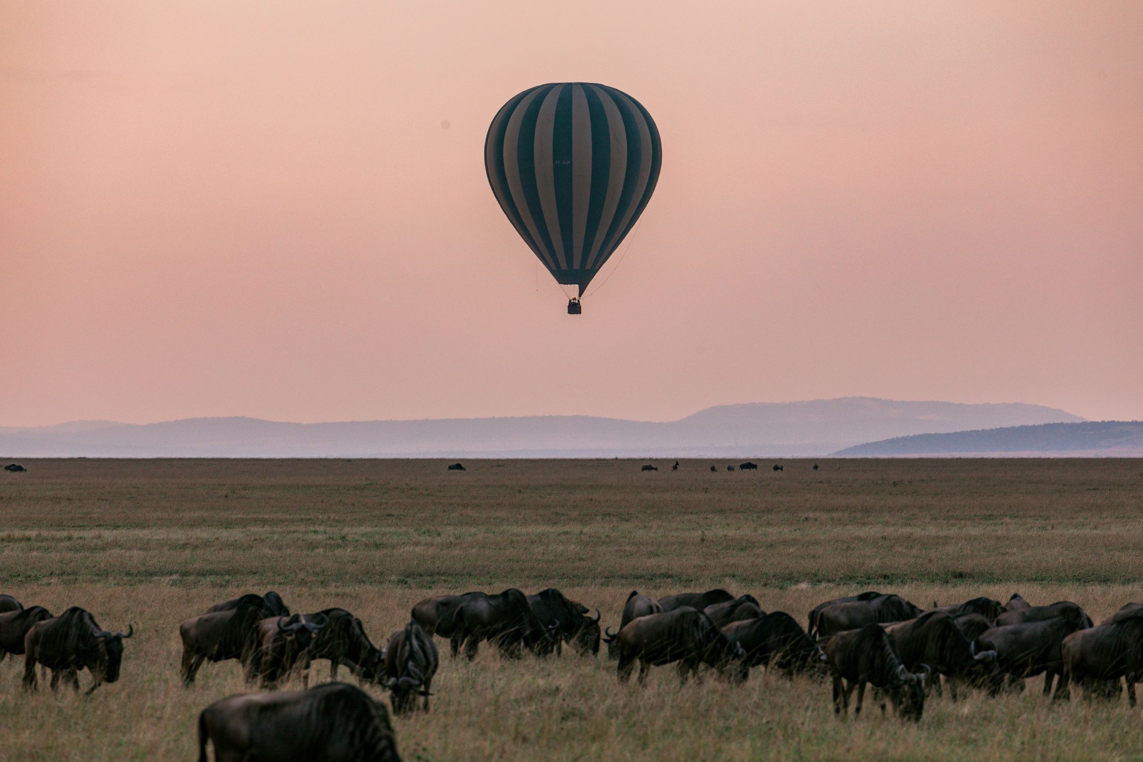 8- Day Mid-Range Mara River Great Migration ( July- October)