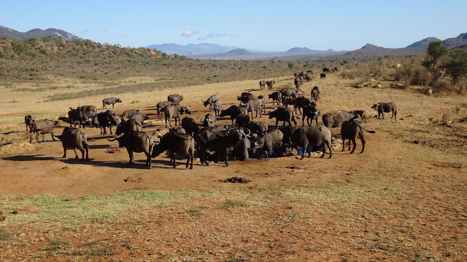 8 Days Kenya Big Five Ultimate Safari