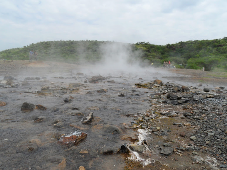 8 Days Great Kenya Safari Circuit